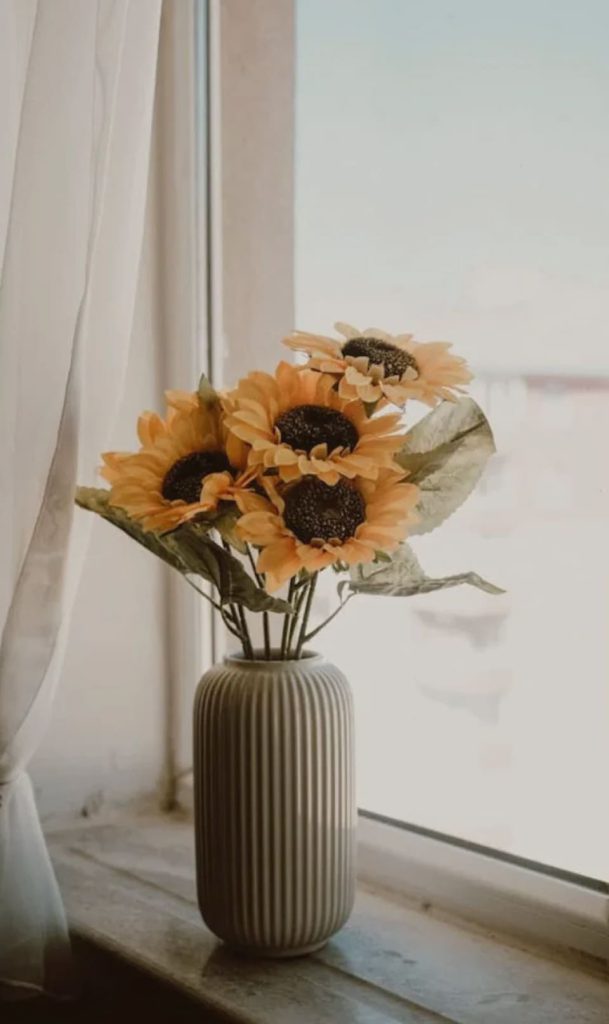 image 2025 07 16T140345.300 (1)