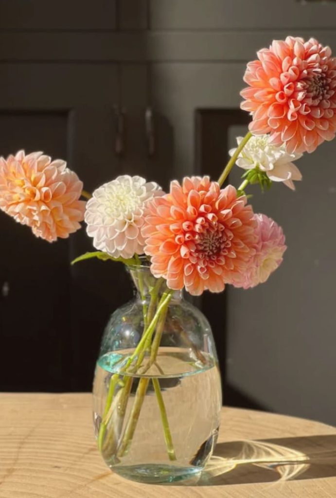 image 2025 07 16T140509.278 (1)