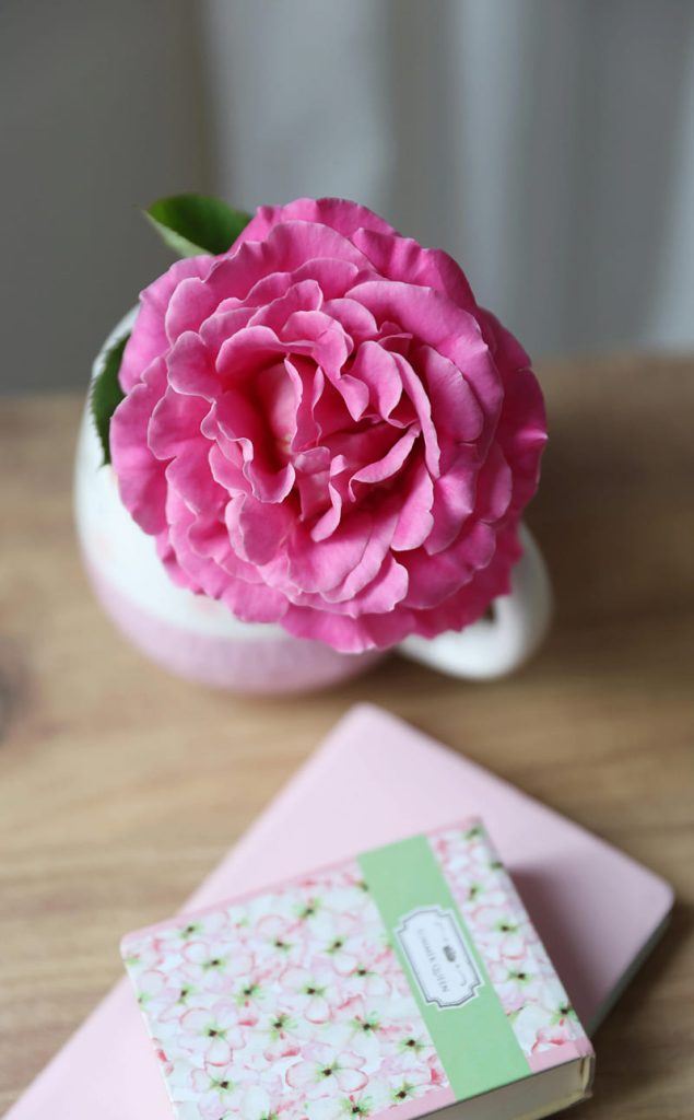 image 2025 07 16T140657.509 (1)