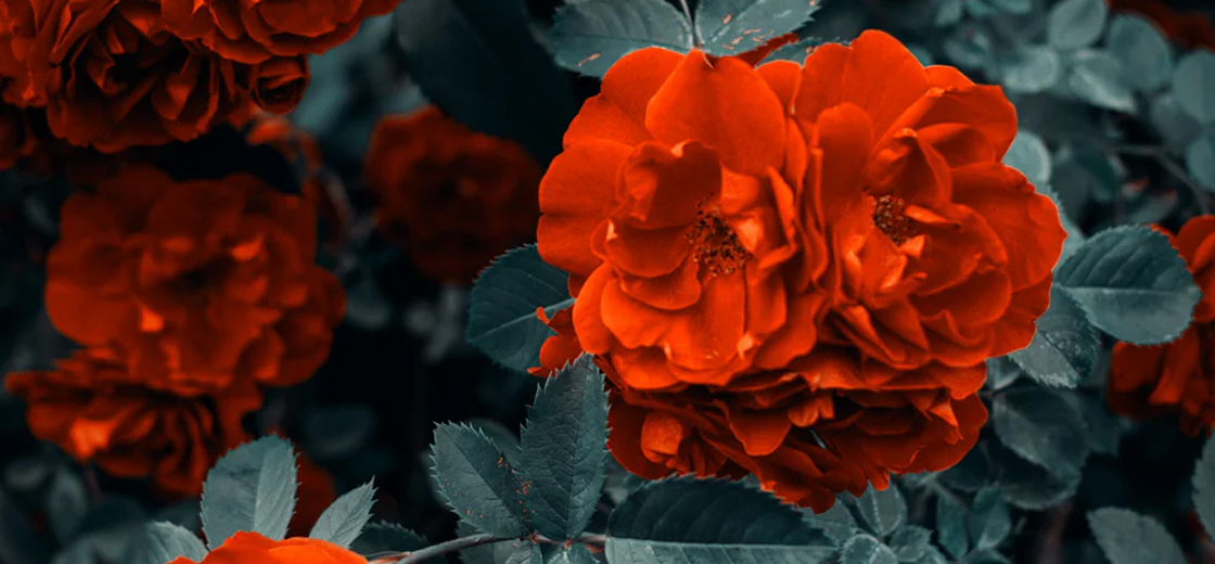 image 2025 07 16T141556.235